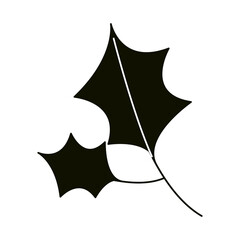 leaves silhouette icon style, leaf floral nature