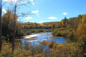 Canadian marshes and rivers