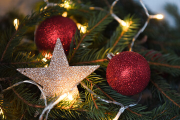 stella natale luci albero pino abete natalizio addobbi natale festa natale 
