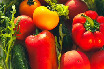 Background from juicy ripe and tasty vegetables. Yellow and red tomatoes, red bell peppers, arugula, lettuce, cucumbers.