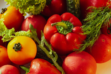 Background from juicy ripe and tasty vegetables. Yellow and red tomatoes, red bell peppers, arugula, lettuce, cucumbers.