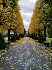 Fototapeta premium Parc - jardin - vienne