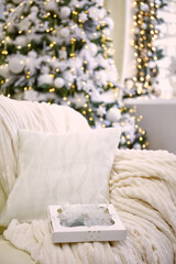 gift box near decorated christmas tree in living room