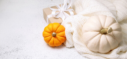 Thanksgiving web banner in cosy rustic style. Composition of orange pumpkin, white pumpkin and craft gift box decorated with white ribbon and bow. Autumn harvest on white knitted blanket. High quality