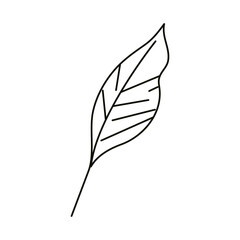 leaves line icon style, leaf nature organic