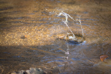 Water Splash