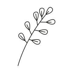 leaves line icon style, branch leaves plant