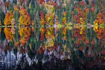 Naklejka premium Autumnal water refections in a lake