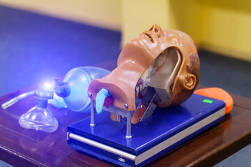 Dummy head and intubation set for advance cardiac life support training. Detailed training medical equipment.