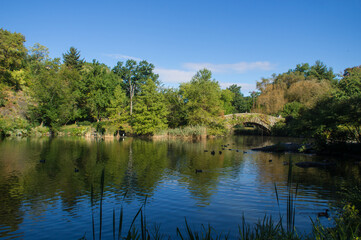 Fototapeta premium Gapstow Bridge