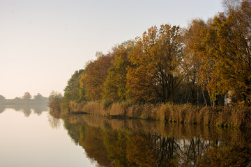 Odbicie w wodzie jesiennych drzew