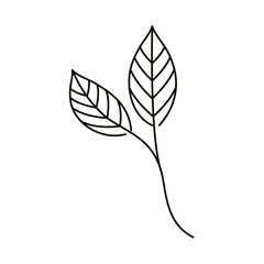 leaves line icon style, ecology foliage