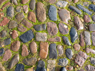 Bright background of the road from paving stones and moss.