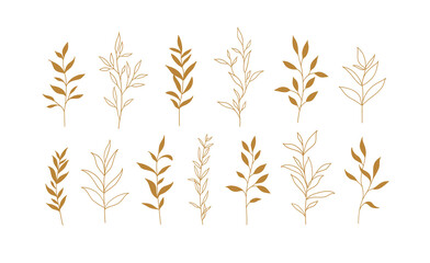 Set of vector plants and herbs. Hand drawn floral elements.