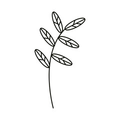 leaves line icon style, decorative branch nature