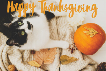 Happy Thanksgiving greeting card. Happy Thanksgiving text handwritten on cute cat relaxing on  knitted sweater with pumpkin, autumn leaves and acorns. Seasons greetings © sonyachny