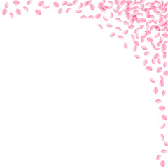 Sakura petals falling down. Romantic pink silky sm