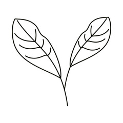 leaves line icon style, natural leaves herbs