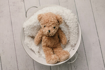 a soft brown teddy bear children's toy stuffed animal sitting on a blanket in a white metal bucket on a white wood plank floor