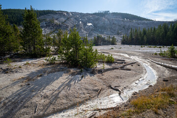 Roaring Mountain in Yellowstone National Park with hot springs and steam vents, in the morning...