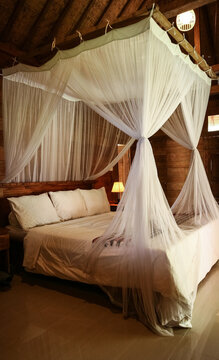  Cozy Canopy Bed