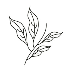 leaves line icon style, leaves stem floral