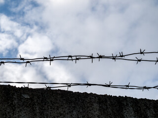 barbed wire close-up against a blue sky, the concept of incarceration, serving a sentence, restriction of freedom, isolation, crime and punishment