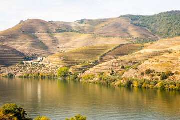 Autumn in Douro Valley, Portugal