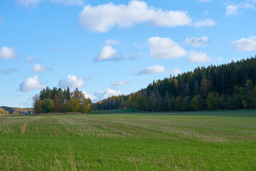 White clouds on a blue sky over a green field and forest. 