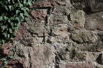 Natursteinmauer mit Pflanzen