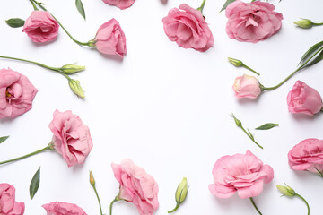 Frame of beautiful pink Eustoma flowers on white background, flat lay. Space for text