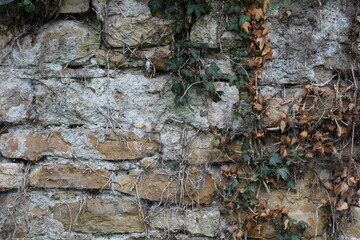 Natursteinmauer mit Pflanzen