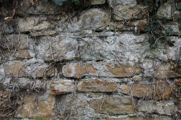 Natursteinmauer mit Pflanzen