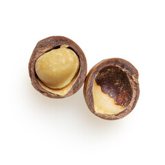 Isolated macadamia on white background for scene creator