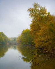 Fototapeta premium river with trees autumn