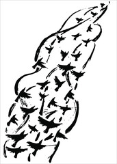 vector illustration of the birds