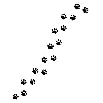 Footprints for pets, dog or cat. Pet prints. Paw pattern. Foot puppy. Black silhouette shape paw print. Footprint pet. Animal track. Trace dogs, cats. Cute background turn right. Design walks. Vector