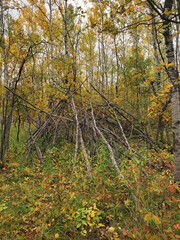 Makeshift tree shelter on a Hiking trail at Assiniboine Forest on an autumn day in Winnipeg,...