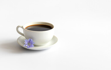 Chicory beverage in a small cup and a blue chicory flower isolated on a white background. Coffee substitute.
