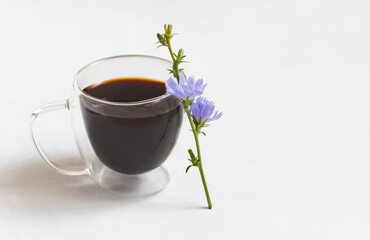 Chicory drink in a glass cup and a blue flower on a white background. Healthy herbal beverage. Copy space.