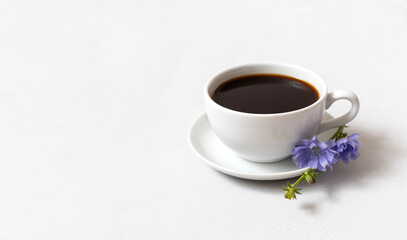 Chicory coffee drink and blue chicory flower on white background. Decaffeinated coffee. Copy space.