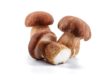 Group boletus mushroom isolated on white background.Boletus mushrooms, Porcini Mushroom, Forest, Edible Mushroom