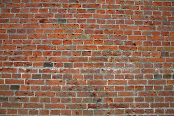 Fototapeta premium The old brick wall 