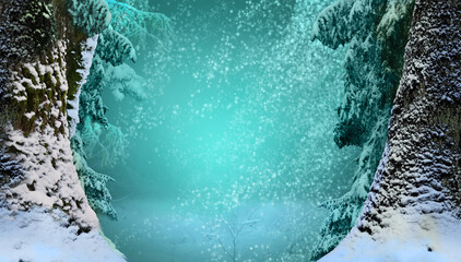 Snowfall between old snowy fir trees on blue background in winter time