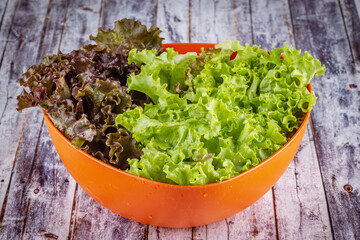 Fresh and colorful lettuce in a organ big bowl, ready to salad.