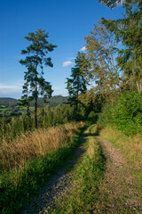 Fototapeta na wymiar Road at Kasperske Mountains, Sumava national park, Czechia 