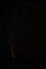 Comet Neowise with tail