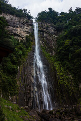 日本　和歌山県那智勝浦町、飛瀧神社の境内から見える日本三名瀑の一つ那智大滝
