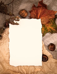 Autumn fall flat lay top view composition. Yellow maple leaves and white craft natural brown piece...