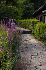 日本　和歌山県那智勝浦町、熊野古道の大門坂